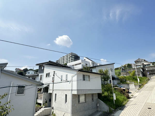 眺