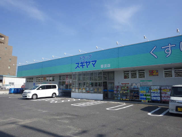 ドラッグスギヤマ
