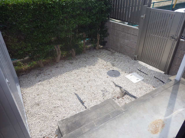 庭