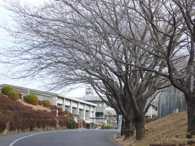 小学校