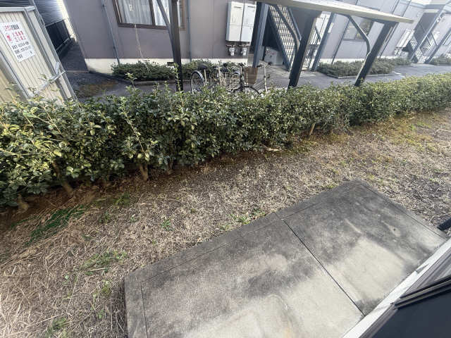 庭