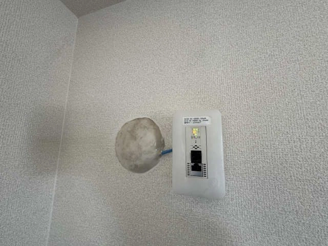 無料インターネット