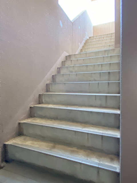 カーサ薬師寺 2階 階段