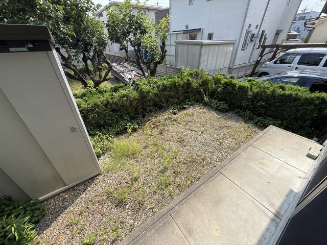 庭
