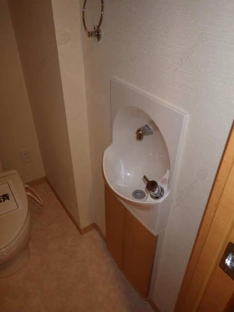 手洗い