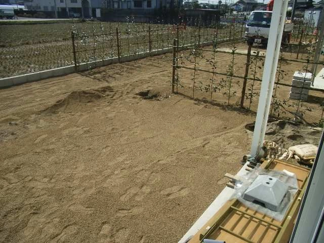 庭
