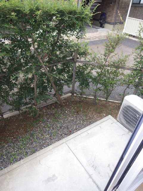 庭