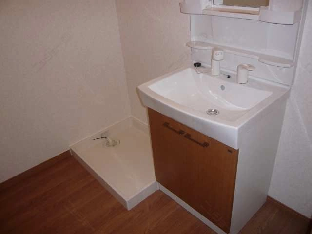 シャンプードレッサー