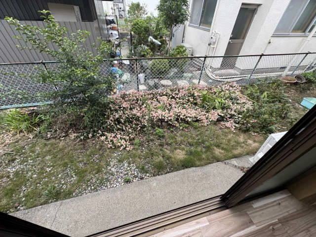 庭