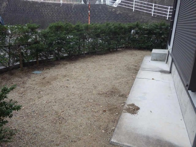 庭