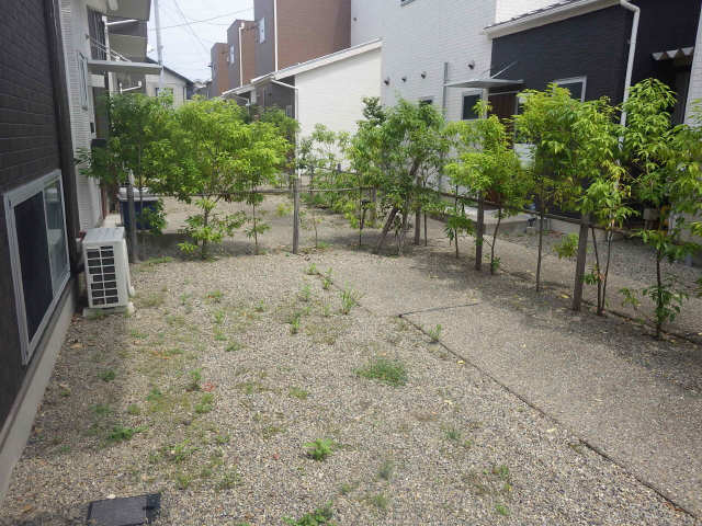 庭
