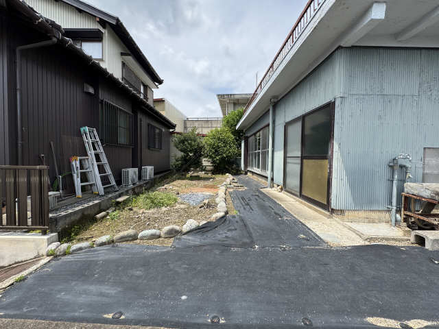 庭
