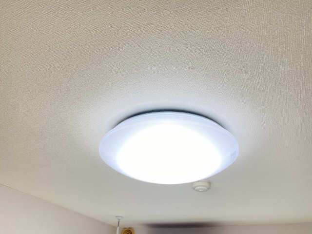 照明