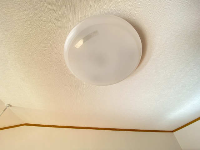 照明