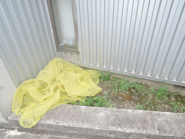 ゴミ捨場