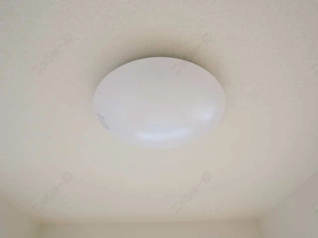 照明