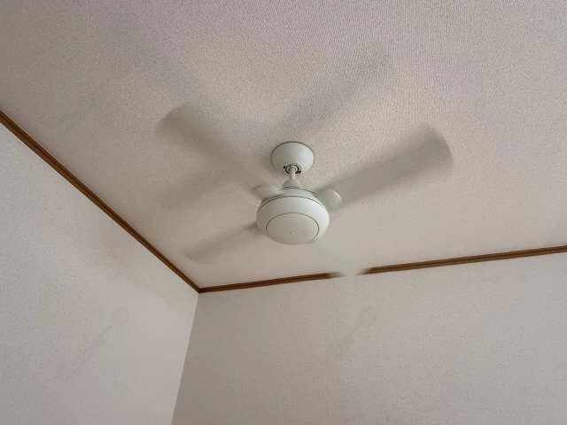 ファン