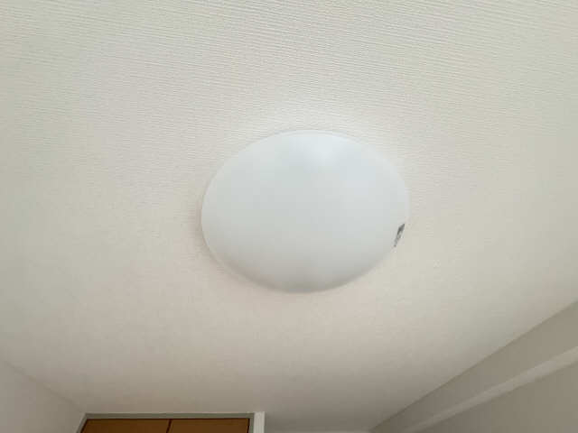 照明