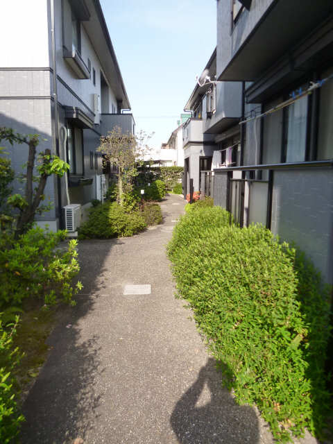 中庭