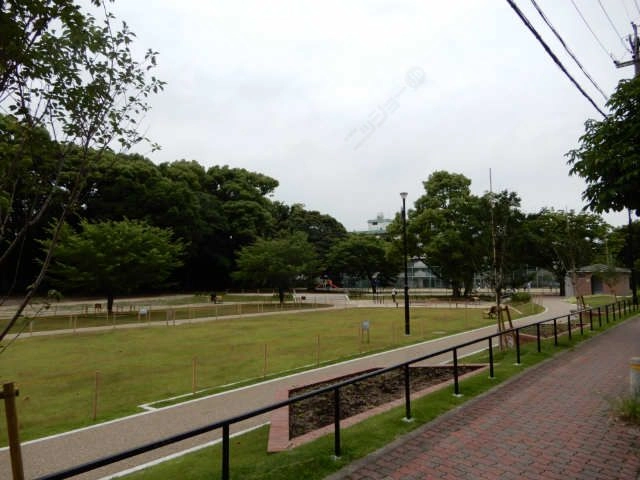 公園