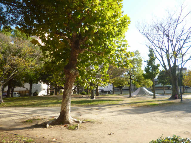 公園