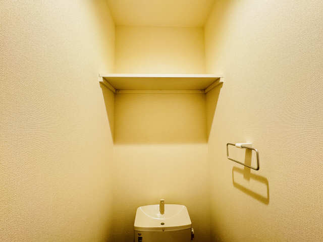 Ｍａｉｓｏｎ西高蔵Ｗｅｓｔ 3階 WC収納