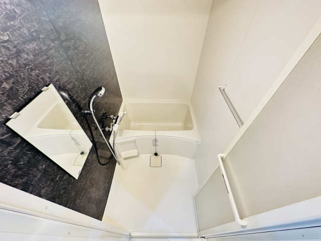 Ｔｈｅ金山Ｂｌｏｓｓｏｍｓ 2階 浴室