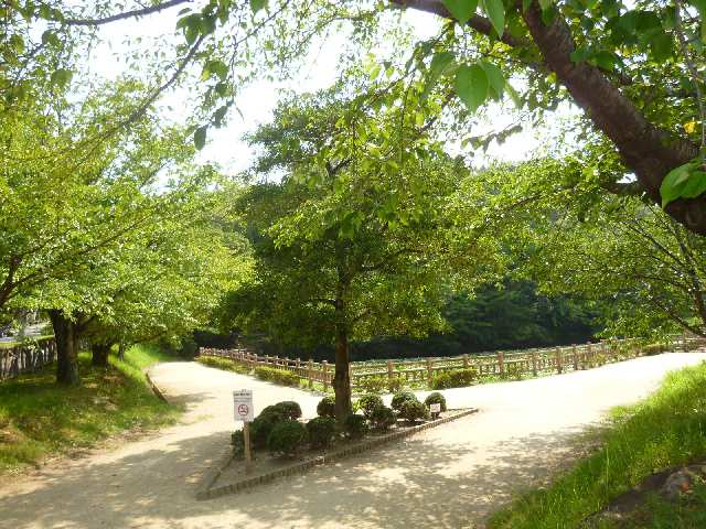 パストラル竜美 1階 竜美ケ丘公園