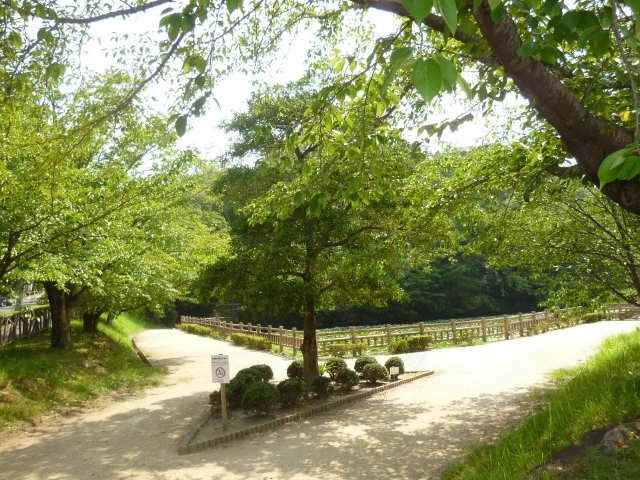 竜美ケ丘公園