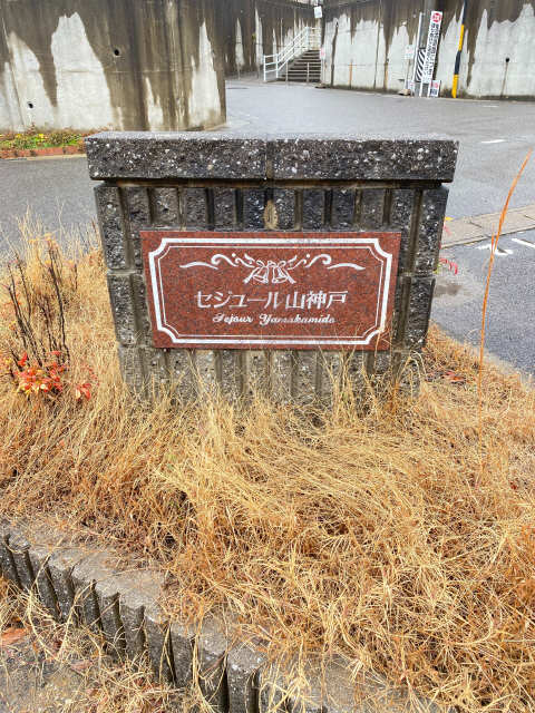 エンブレム