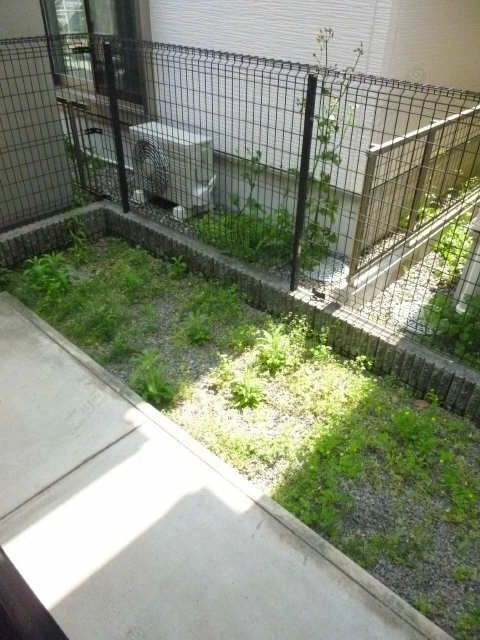 1Ｆ専用庭