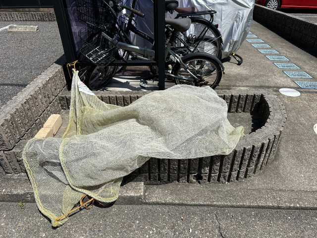 ゴミステーション