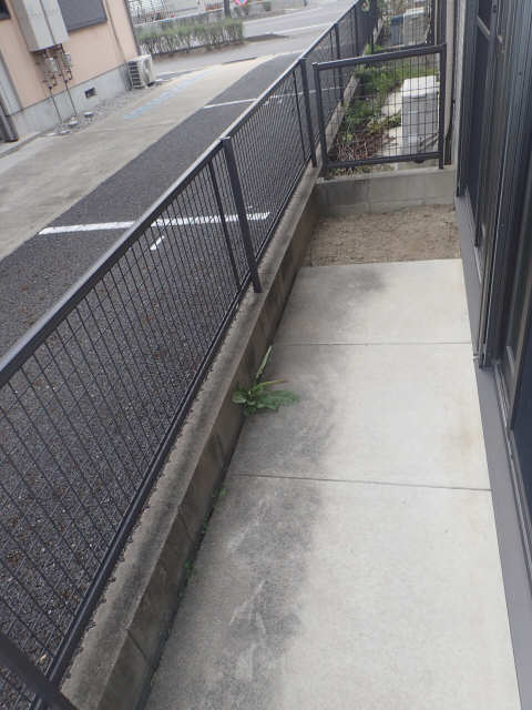 庭