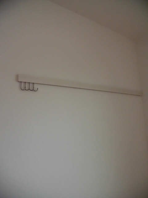 ウォールフック