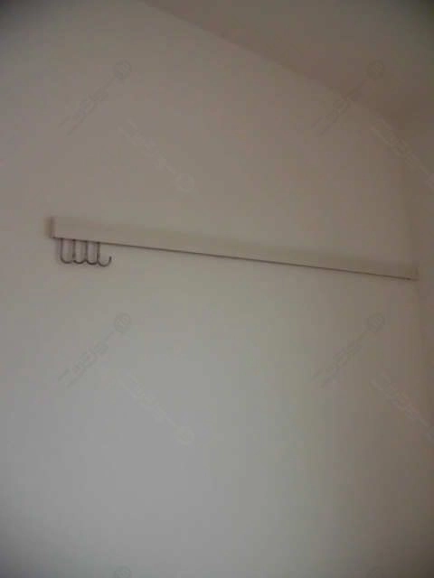 ウォールフック