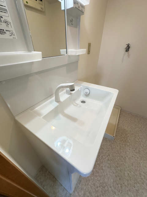 シャンプードレッサー