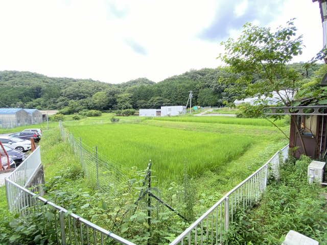 はなぶさ１号館 1階 眺望