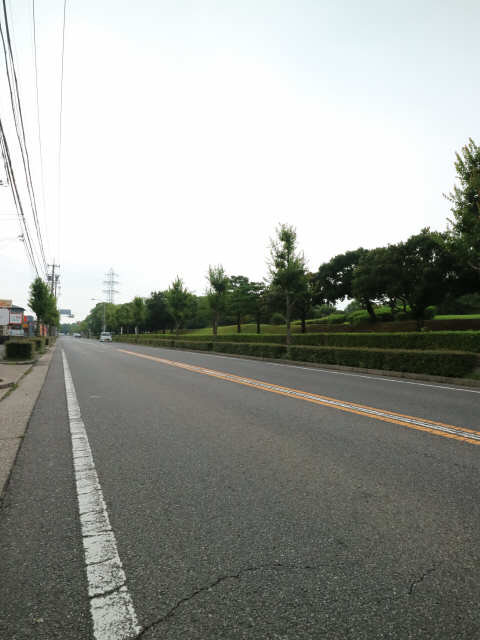 朝宮公園