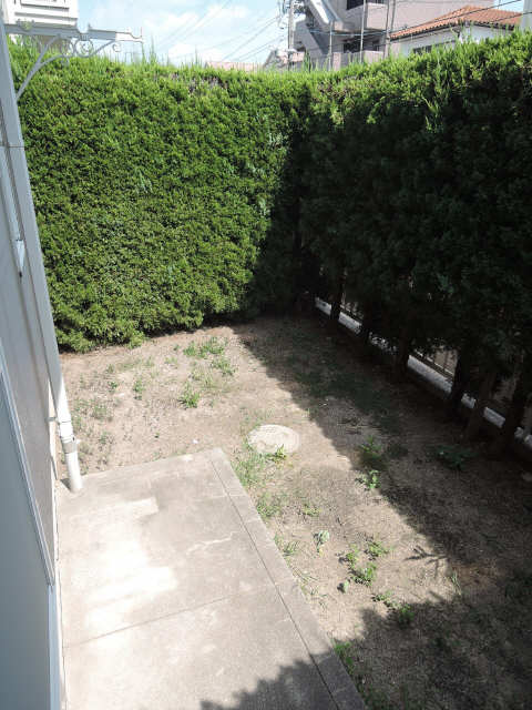 庭