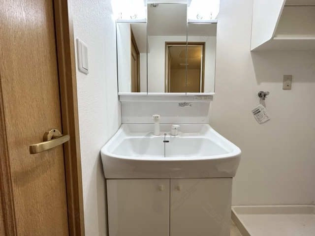 洗面(※同型タイプ)