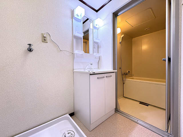 シャワー付洗面台