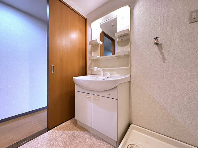 シャワー付洗面台