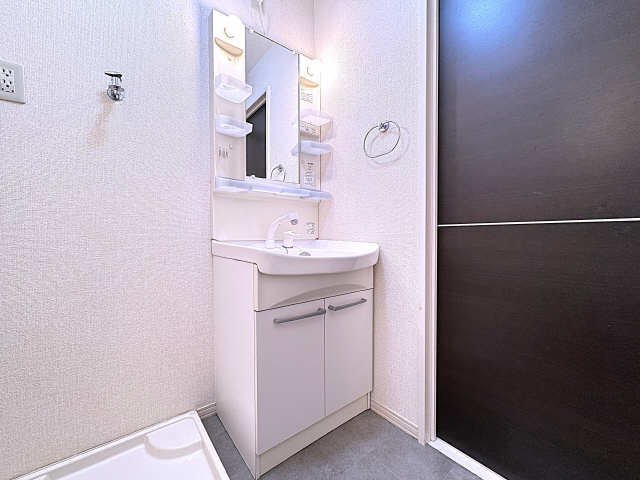 シャワー付洗面台