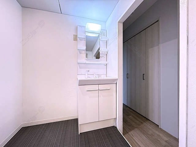 シャワー付洗面台