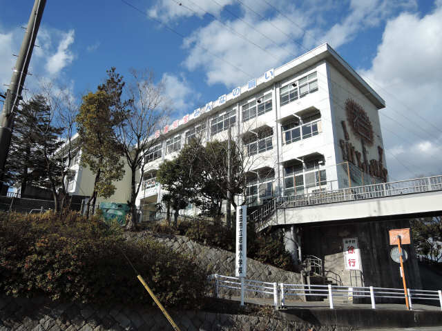 若園小学校