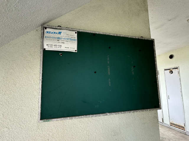 掲示板
