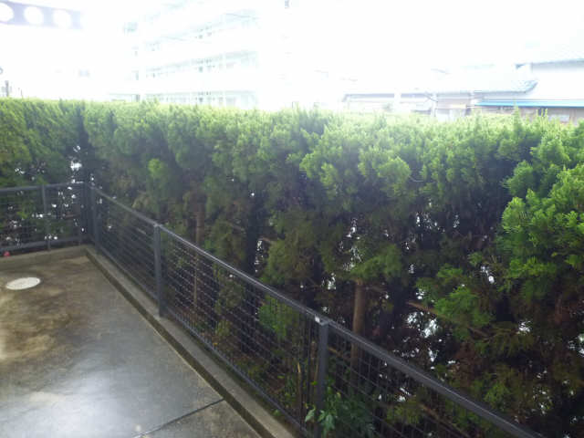 庭