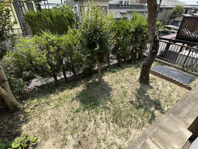 庭