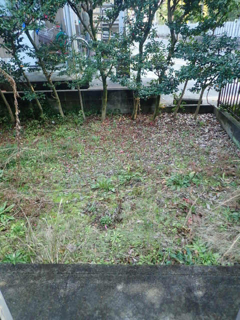庭