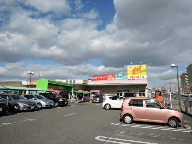 メグリア若園店